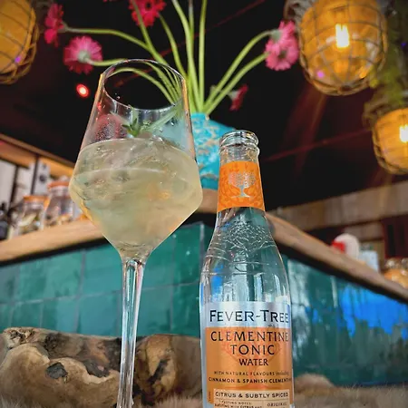 Daire Belle-vue Knokke-Heist